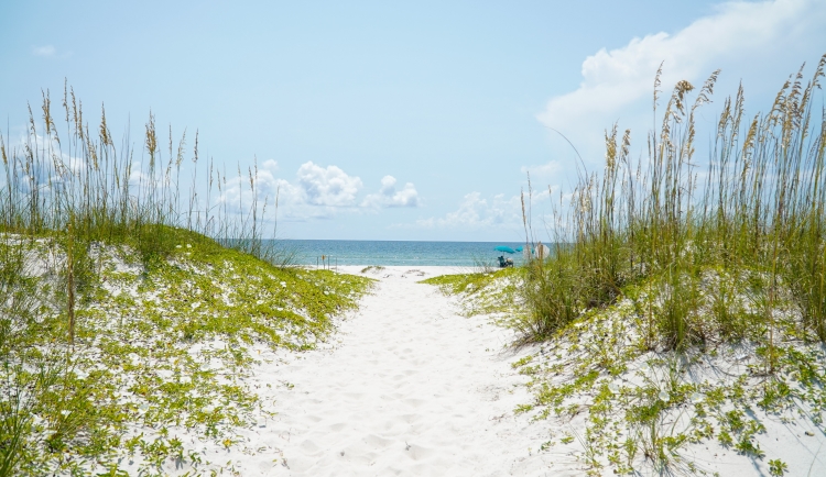 #1 Beach in America 2023 · St. George Island State Park