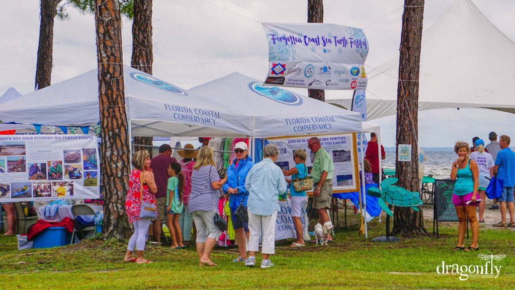 Forgotten Coast Sea Turtle Festival :: Educational Family Fun