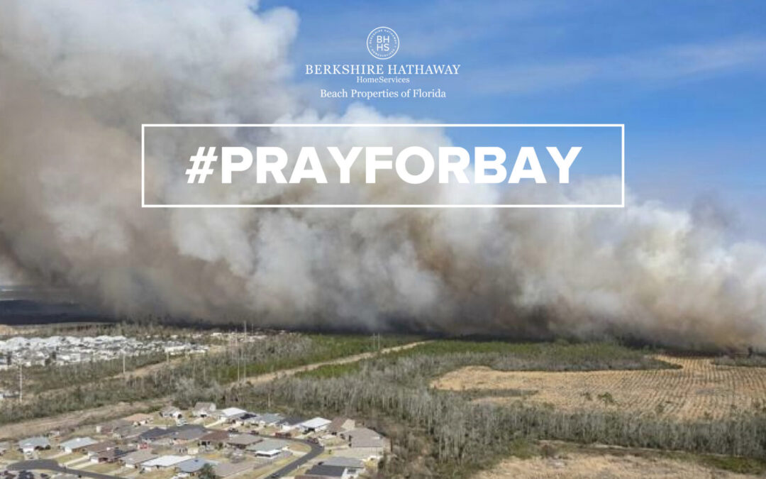 Pray For Bay | Wildfire Relief for Adkins Avenue + Bertha Swamp Road Fires