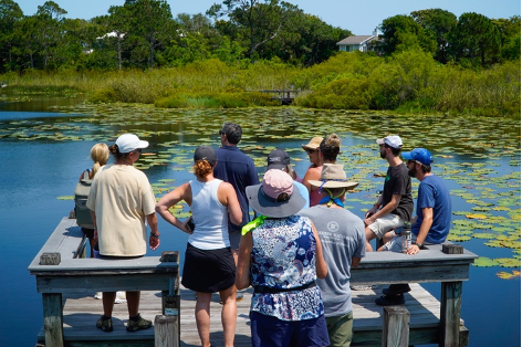 Discover a 30A Hidden Gem at Coffeen Nature Preserve