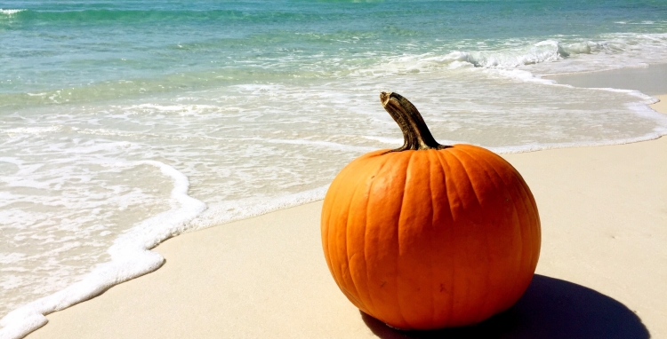 Spooktacular Halloween Events Haunt the Coast This October