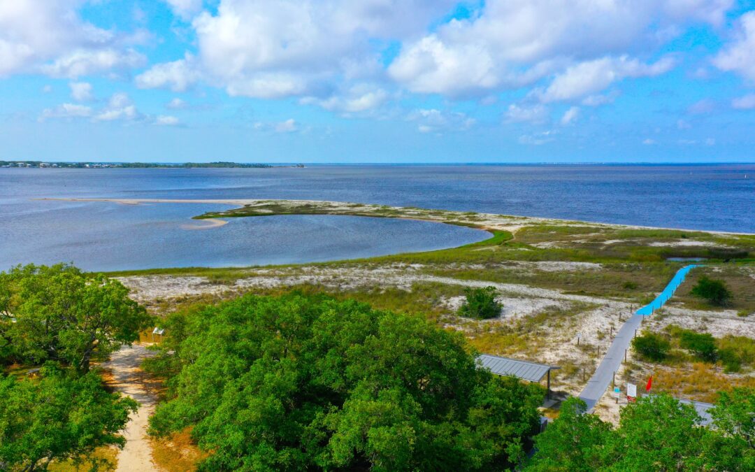 Exploring the Eastern Side of The Forgotten Coast: A Nature Lover’s Paradise