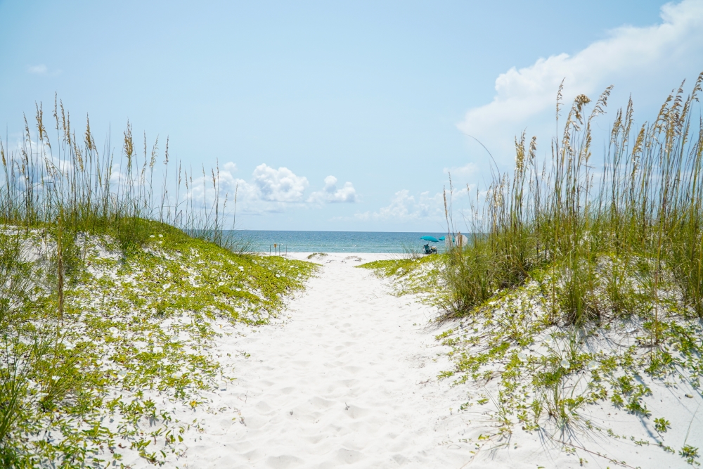 Three Panhandle Beaches Rank in USA Today’s Top 10 Florida Beaches . . . See Who Made the Cut!