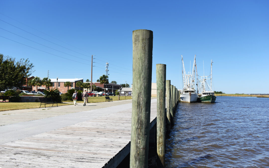 Finding Your Perfect Home in Apalachicola: A Look at the Best Properties for Every Budget