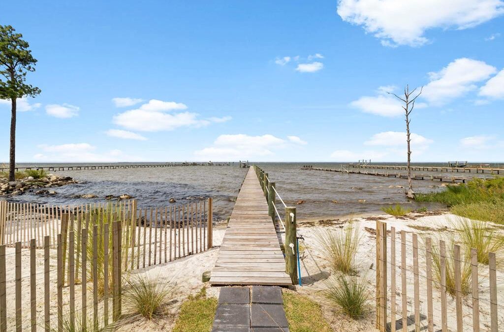 August Market Happenings | Forgotten Coast