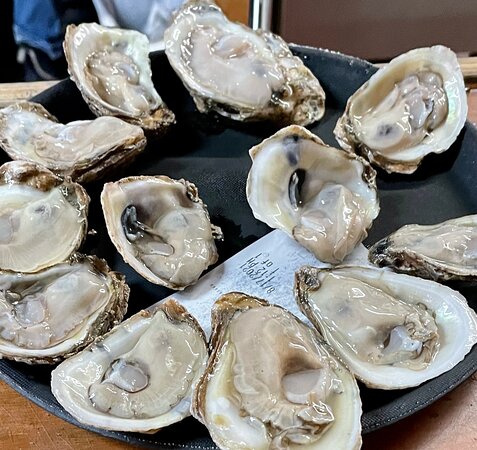 Live Music, Yoga & Oyster Contests | August Events in Bay County
